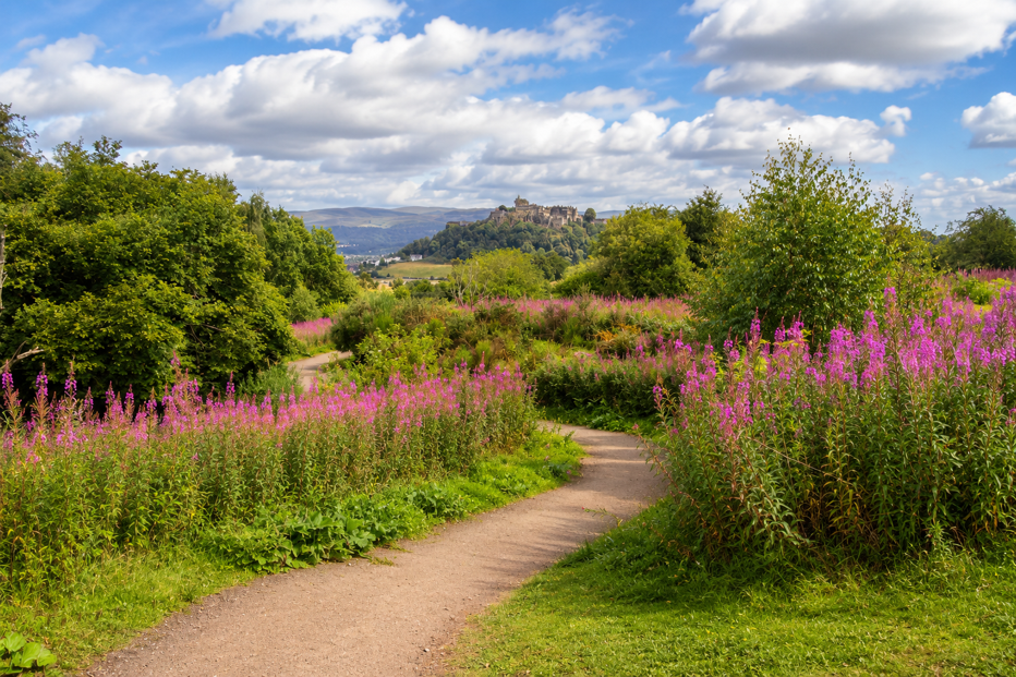 Winding path through summer flowers with Stirling castle in the distance.